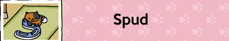 Illustration for article titled Neko Atsume Cats, Ranked